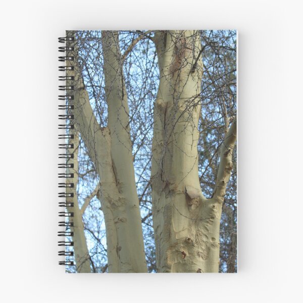Artikelvorschau, Fieberbaum .... entworfen und verkauft von DonnaMoore.