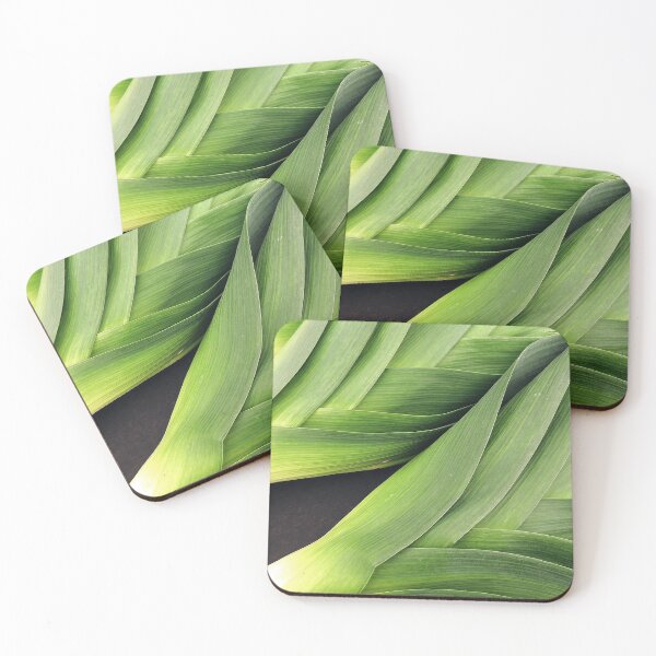 Item preview, Leek Lines designed and sold by Alexandra Lavizzari.