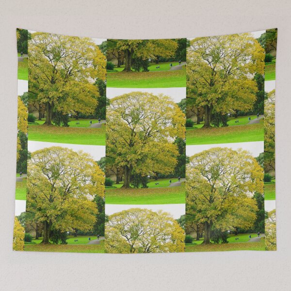 Item preview, Belle Vue Park designed and sold by duncandragon.