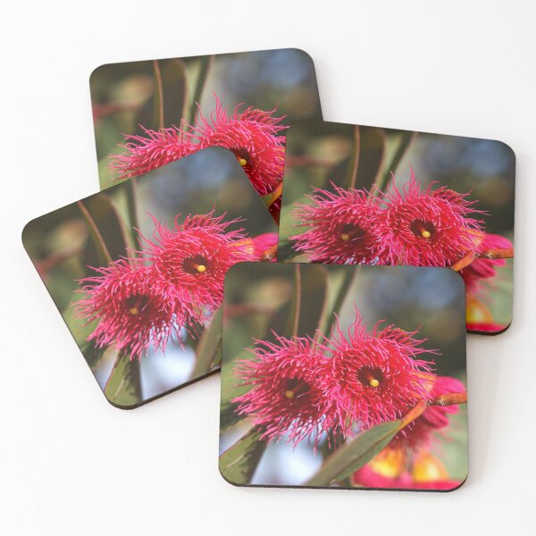 Item preview, Pink Eucalyptus Flower Duo  designed and sold by Joy Watson - Natural Light Photography .