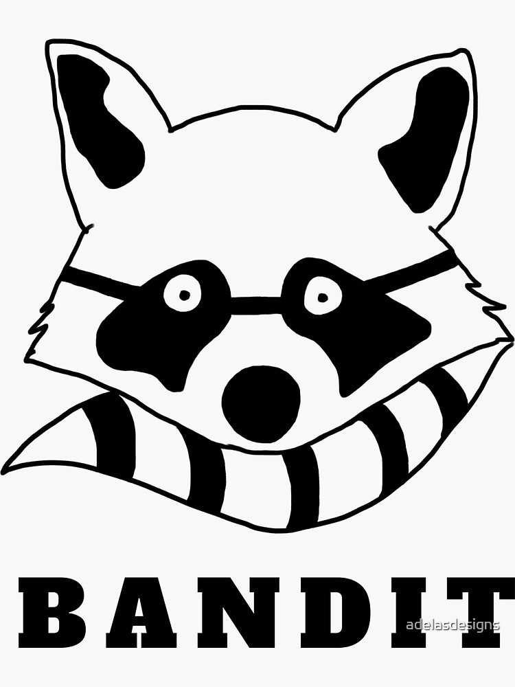 ty raccoon bandit