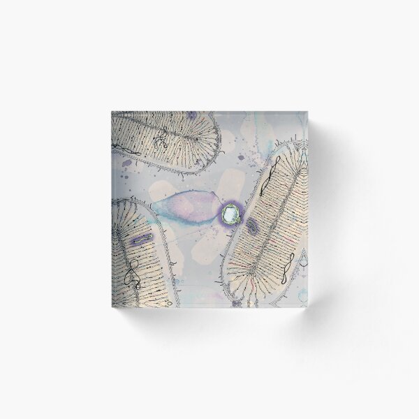 Prophage Symbiosis Acrylic Block
