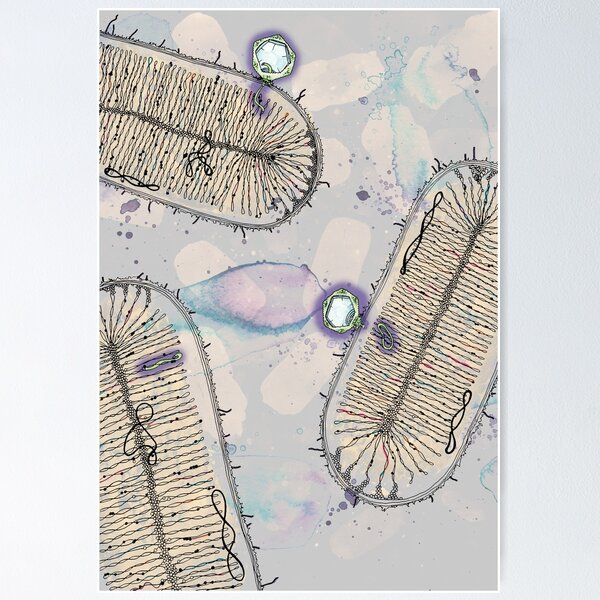Prophage Symbiosis Poster