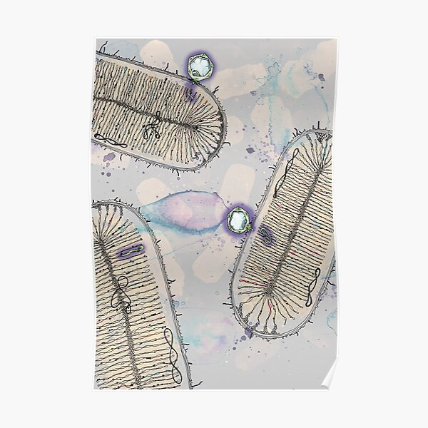 Prophage Symbiosis Poster