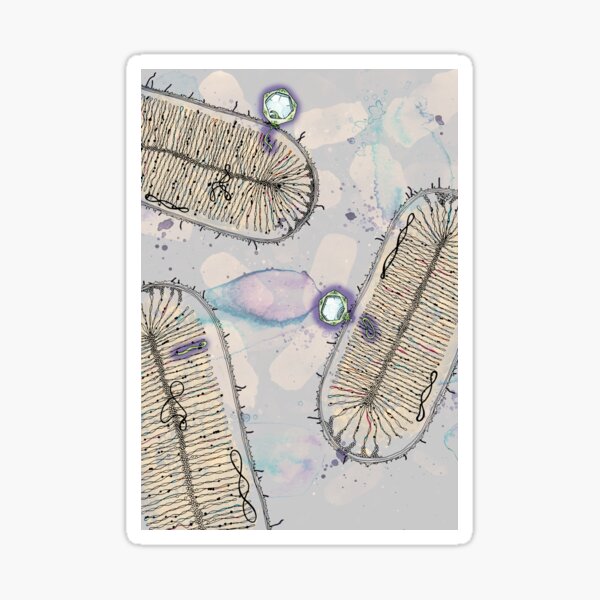 Prophage Symbiosis Sticker