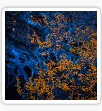 Fagus Sticker