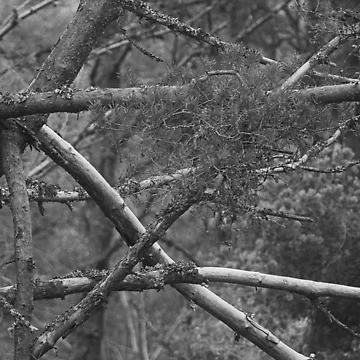 Artwork thumbnail, Intersections by ShinyPhoto