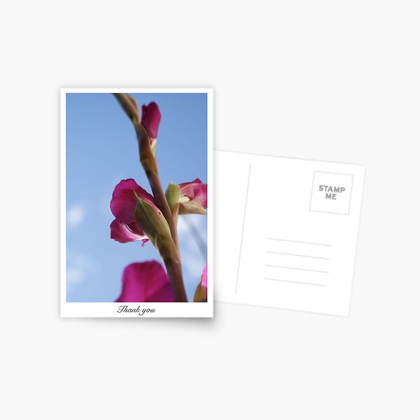 Flora - thank you Postcard