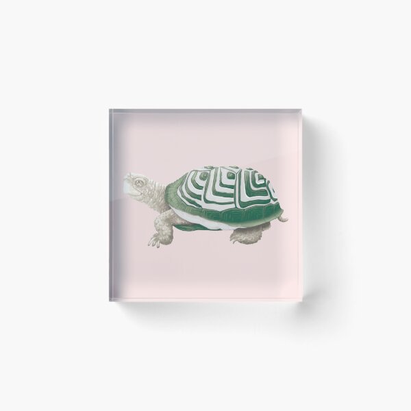 Item preview, The Friendly Turtle Range, Green and Grey designed and sold by Kerry Pattison.