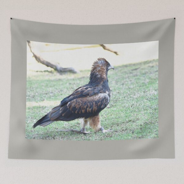 Item preview, The Wedge-Tailed Eagle called Jack designed and sold by imaginethis.