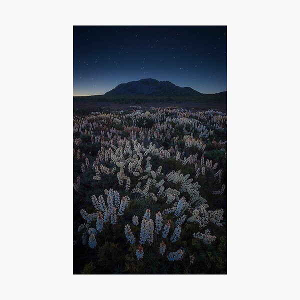 Item preview, Pine Lake, Tasmania designed and sold by Tim Clark.