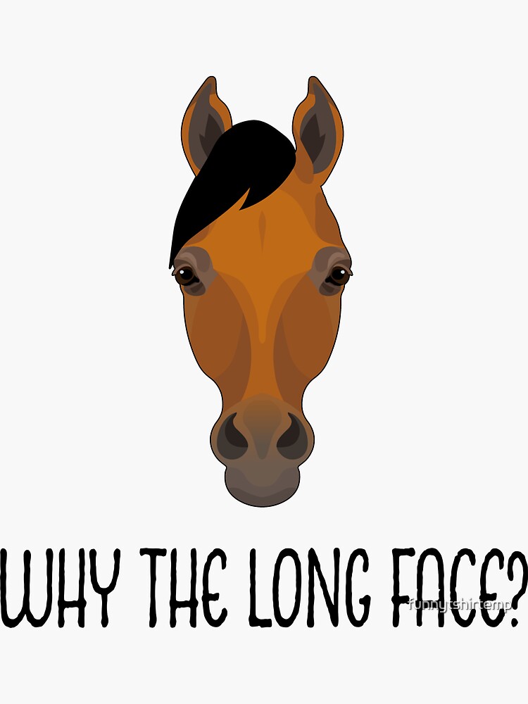 "Why The Long Face Horse Lover Funny Meme Joke T Shirt" Sticker by