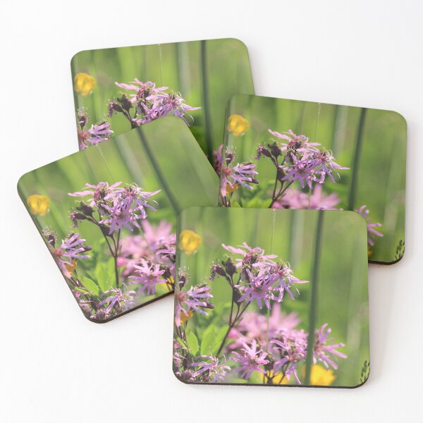 Item preview, Beautiful Ragged Robin Flowers in a summer meadow. designed and sold by Imladris01.