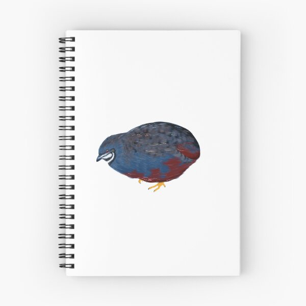 Item preview, Button Quail designed and sold by FalcoGallus.