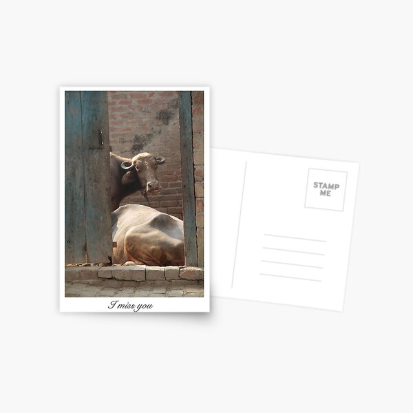 Missing you Postcard