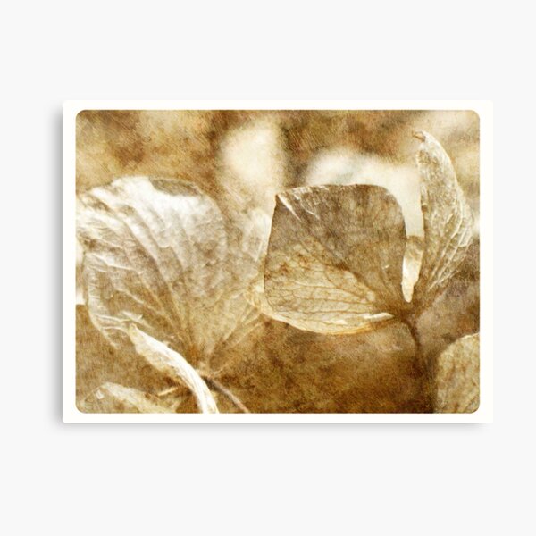 Faded Canvas Print