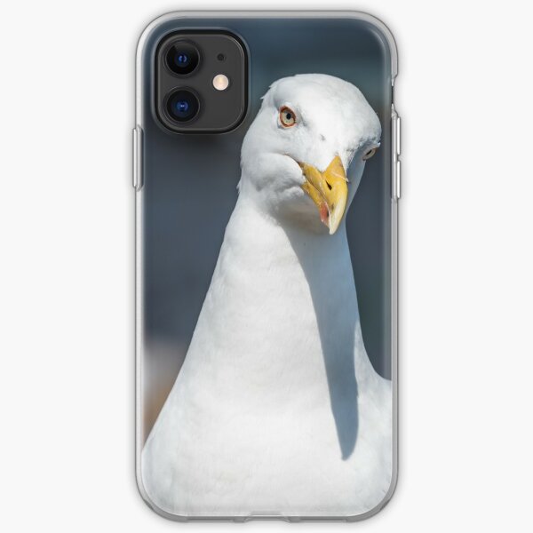 Seagull Meme Phone Cases Redbubble - silver gull support center roblox