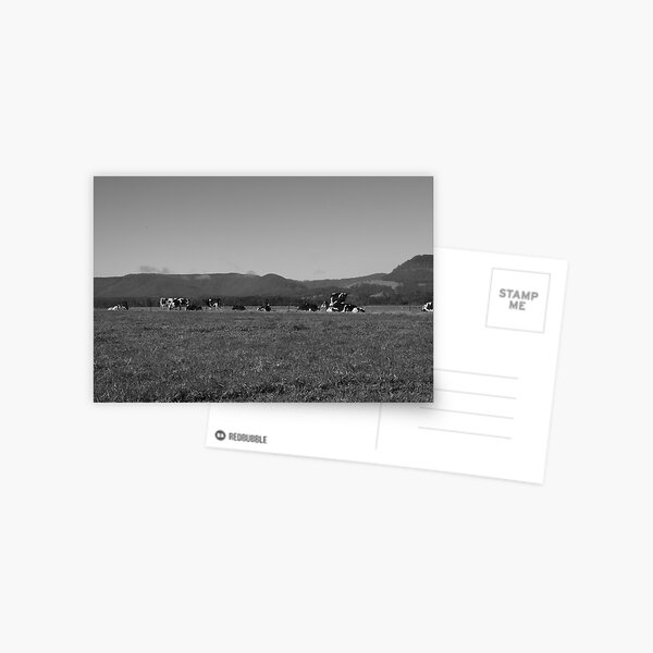 Cowscape Postcard