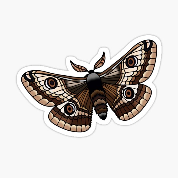 Moth Tattoo Meanings: Unveiling the Symbolism Behind the Designs | Art and  Design