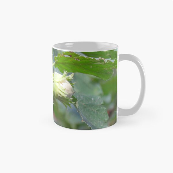 Item preview, Hazelnuts designed and sold by AHELENE.