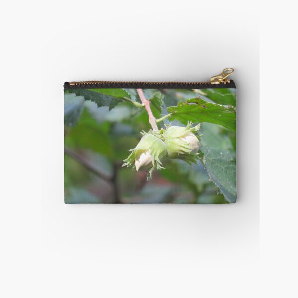 Item preview, Hazelnuts designed and sold by AHELENE.