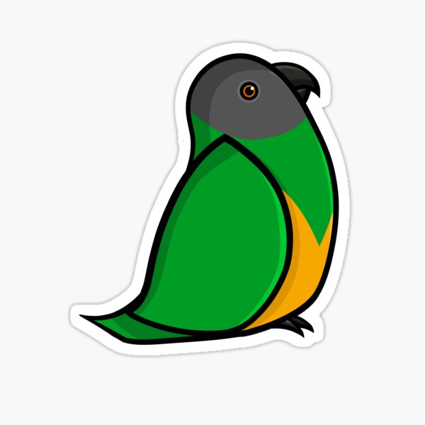Senegal parrot Sticker