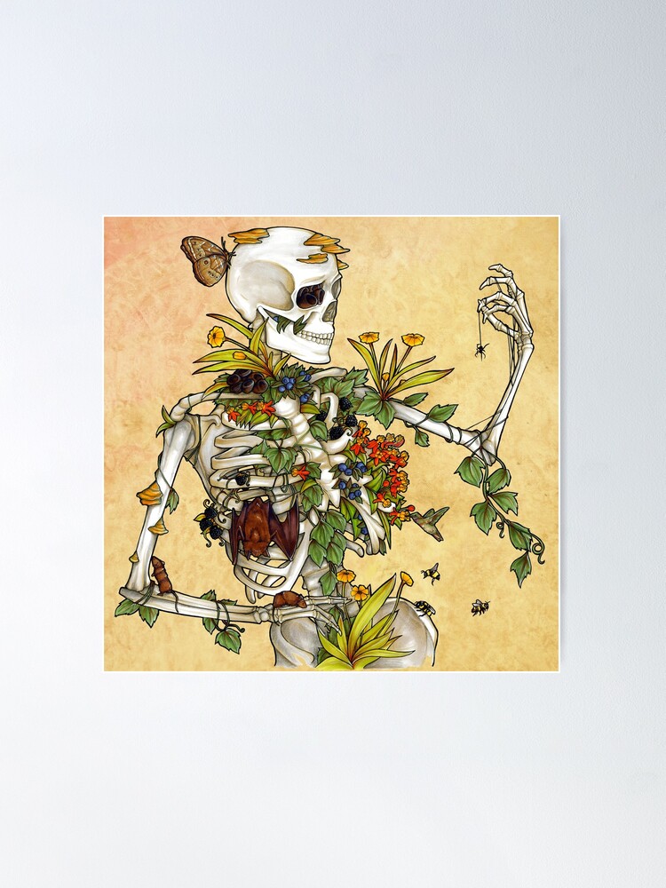 Alternate view of Bones and Botany Poster