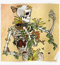 Knochen und Botanik Poster
