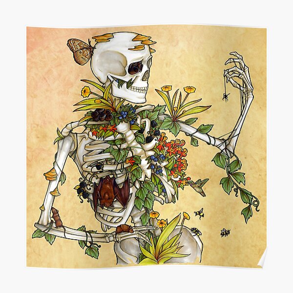 Bones and Botany Poster