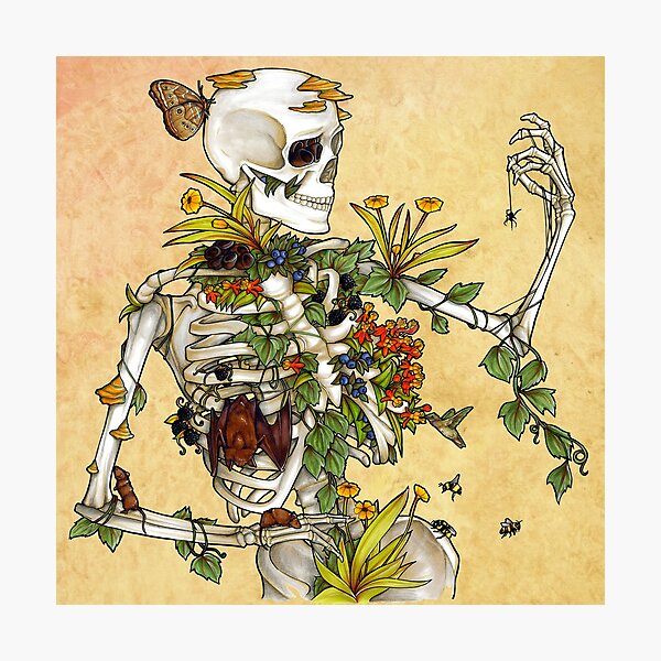 Bones and Botany Photographic Print