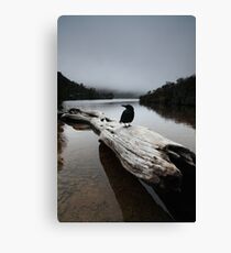 the blackjays log...... Canvas Print