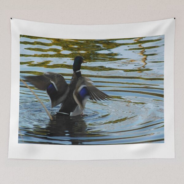 Item preview, Look at me designed and sold by MChabalaRussell.
