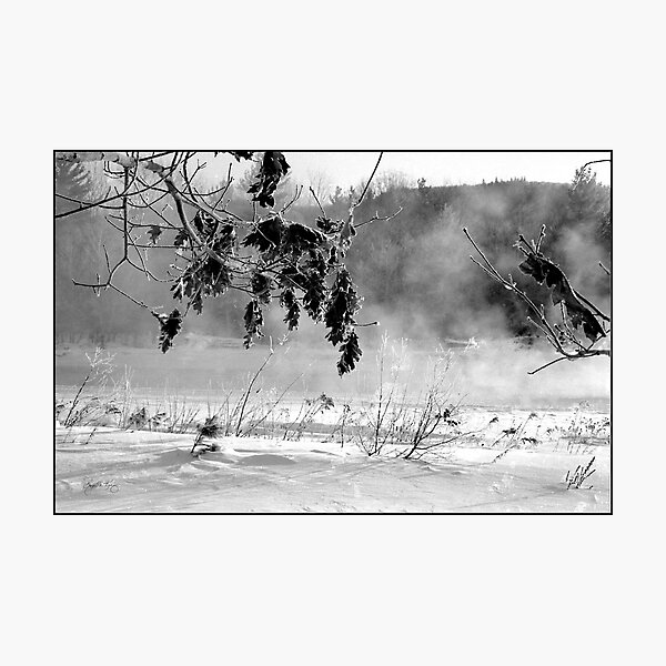 Oaks Along the Pemi Photographic Print