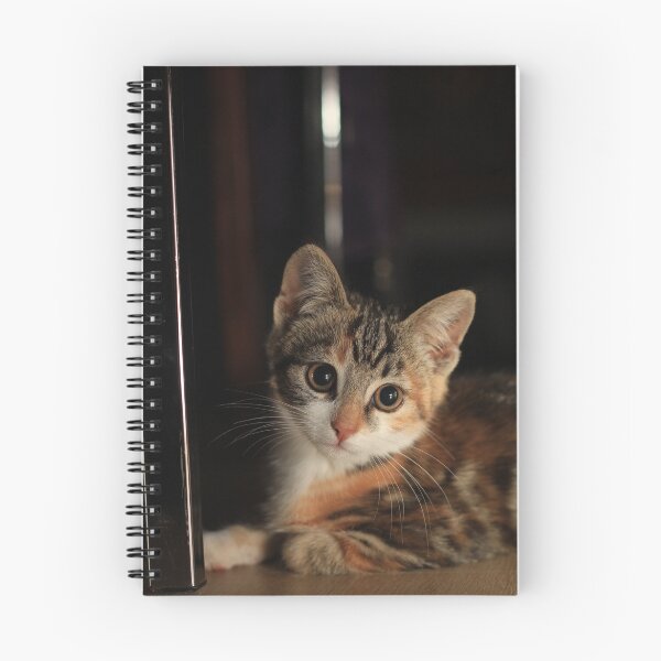 Aperçu de l'œuvre My adorable kitty créée et vendue par BrokenMix.