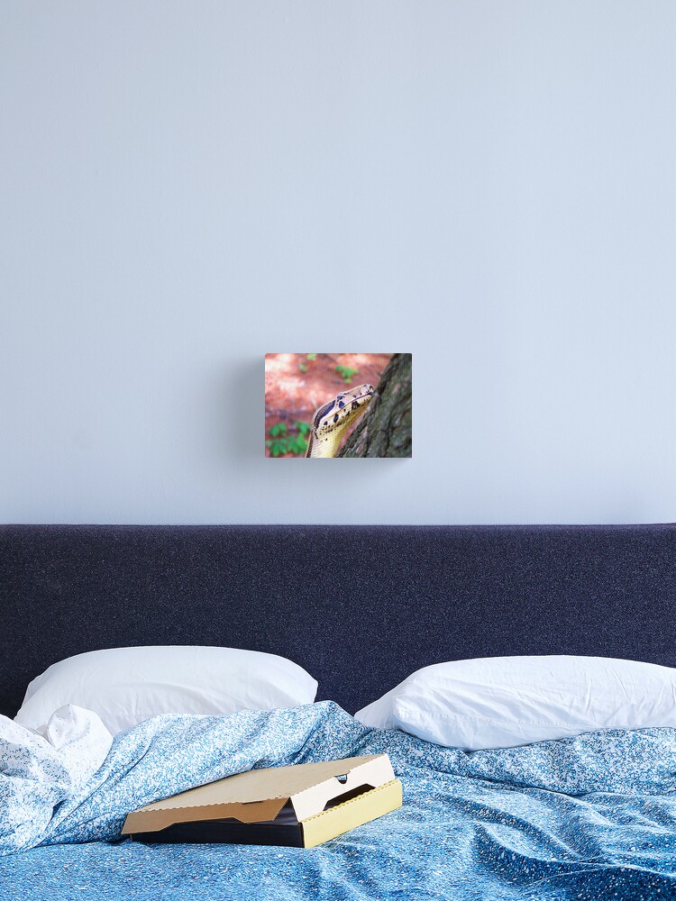 Thumbnail 2 of 3, Canvas Print, Lucifer designed and sold by smlagrange.