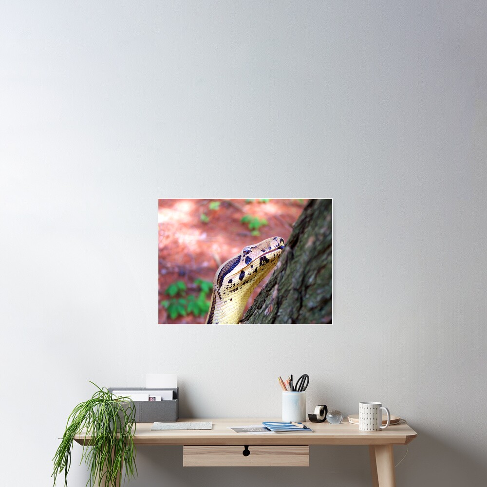 Item preview, Poster designed and sold by smlagrange.