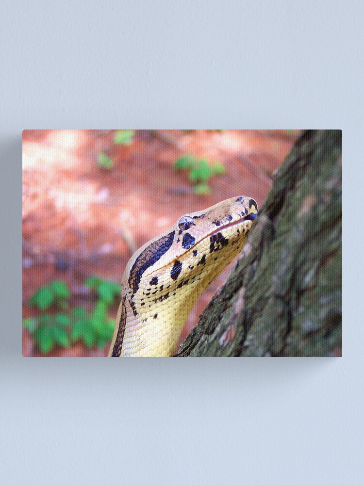 Thumbnail 1 of 3, Canvas Print, Lucifer designed and sold by smlagrange.