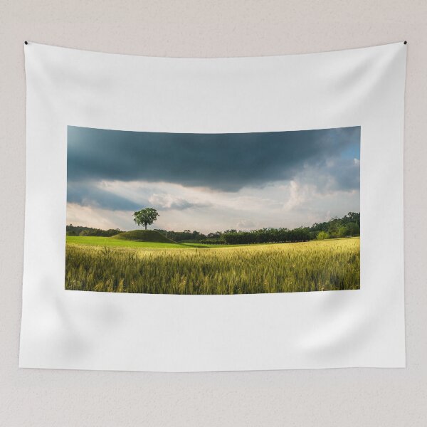 Item preview, Fields of Friuli Venezia-Giulia designed and sold by zakaz86.