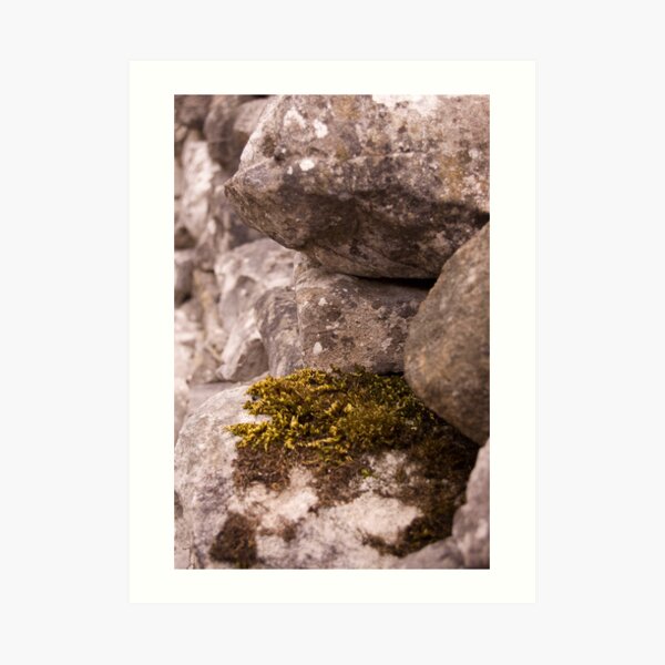 Moss and Lichen Art Print