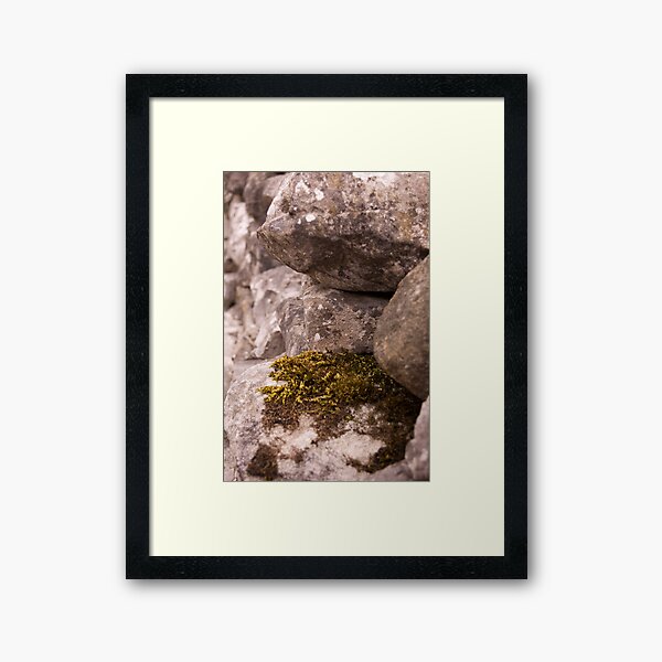 Moss and Lichen Framed Art Print