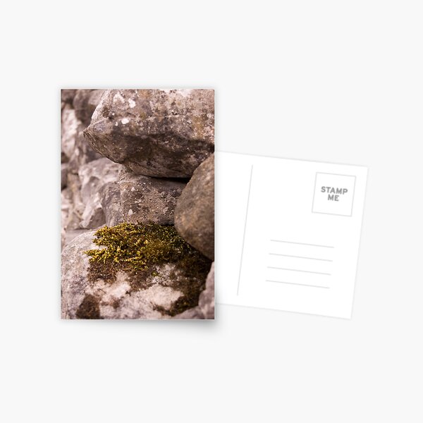 Moss and Lichen Postcard