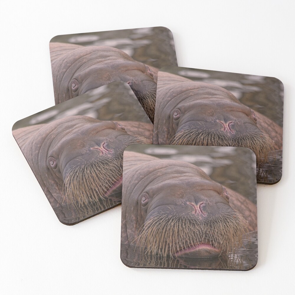Item preview, Coasters (Set of 4) designed and sold by rawshutterbug.