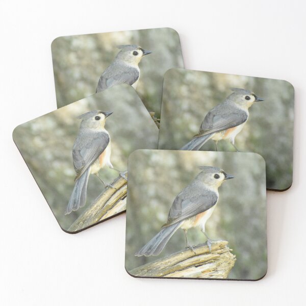 Item preview, Tufted Titmouse 04 designed and sold by Tonia Delozier's Photography .