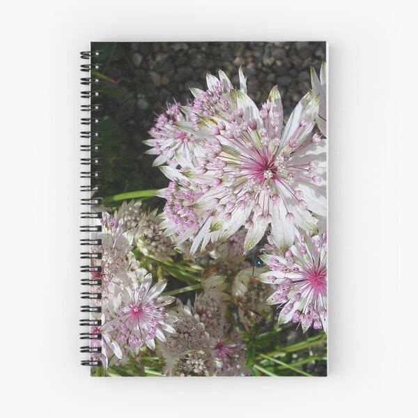 Item preview, Astrantia designed and sold by lezvee.