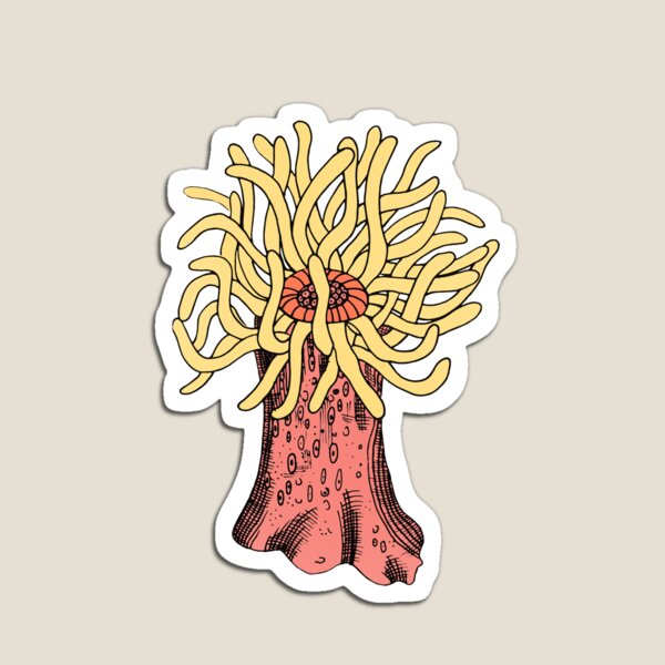 Item preview, Sea Anemone designed and sold by laurbrins.