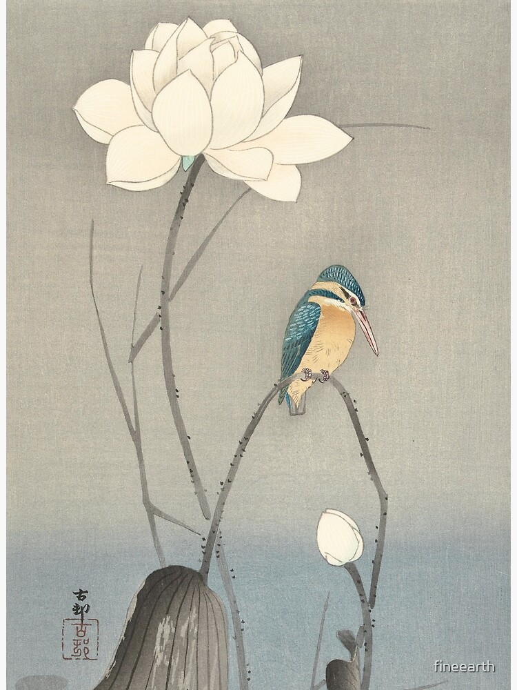 Kingfisher with Lotus Flower, Ohara Koson