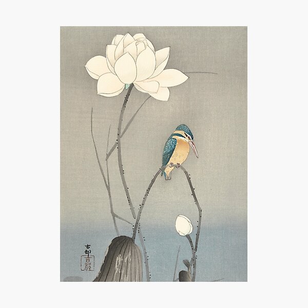 Item preview, Kingfisher with Lotus Flower, Ohara Koson designed and sold by Vintage Wall Art.