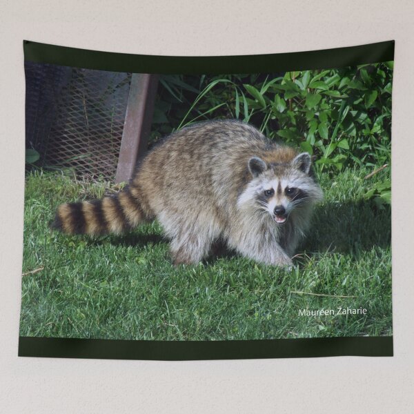 Item preview, I see a Raccoon in my Yard! designed and sold by Maureen Zaharie.