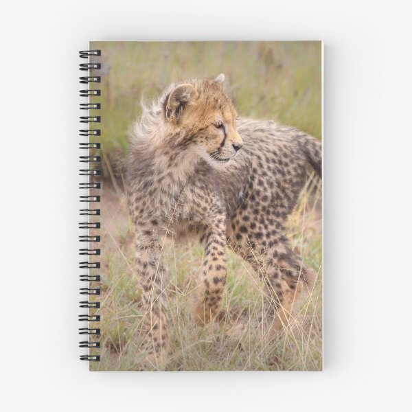 Item preview, Carefree Cheetah Cub designed and sold by Owed To Nature.