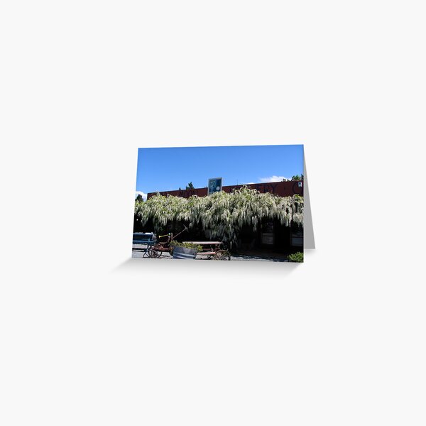 Wisteria Greeting Card